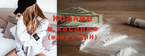 индика Бронницы