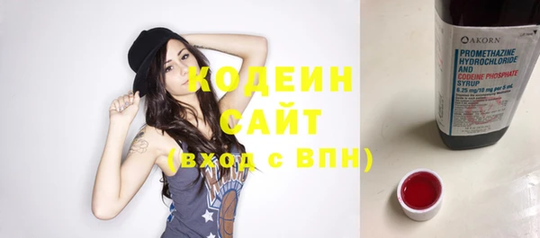 индика Бронницы